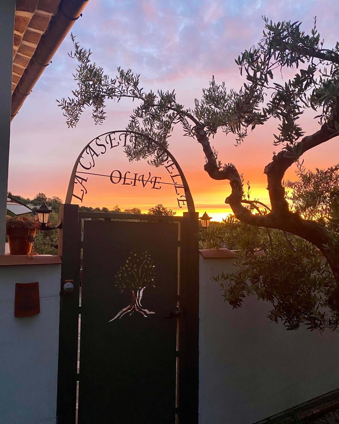 Cancello La Casetta delle Olive al tramonto