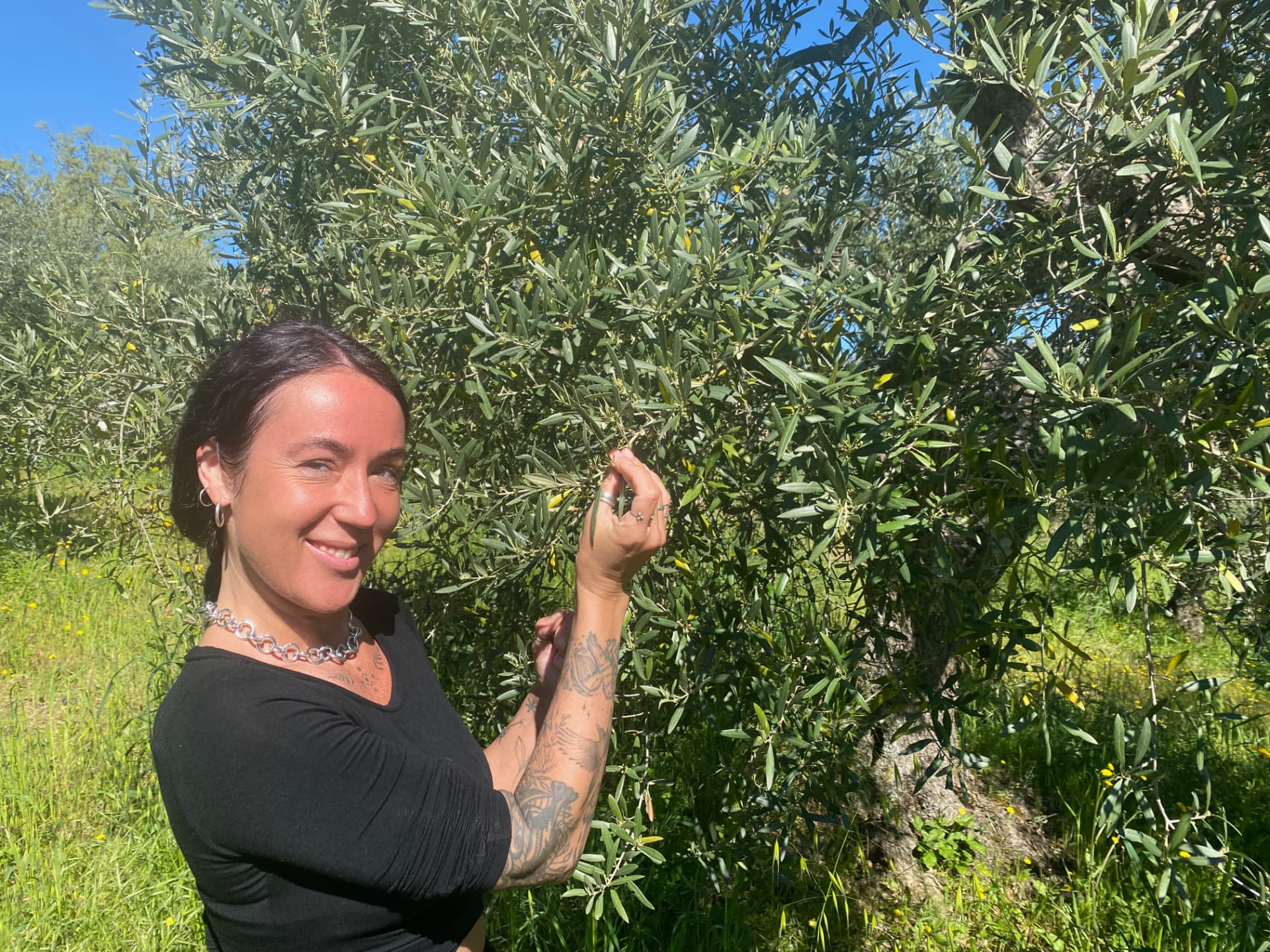 Una donna osserva le olive sull’albero in estate